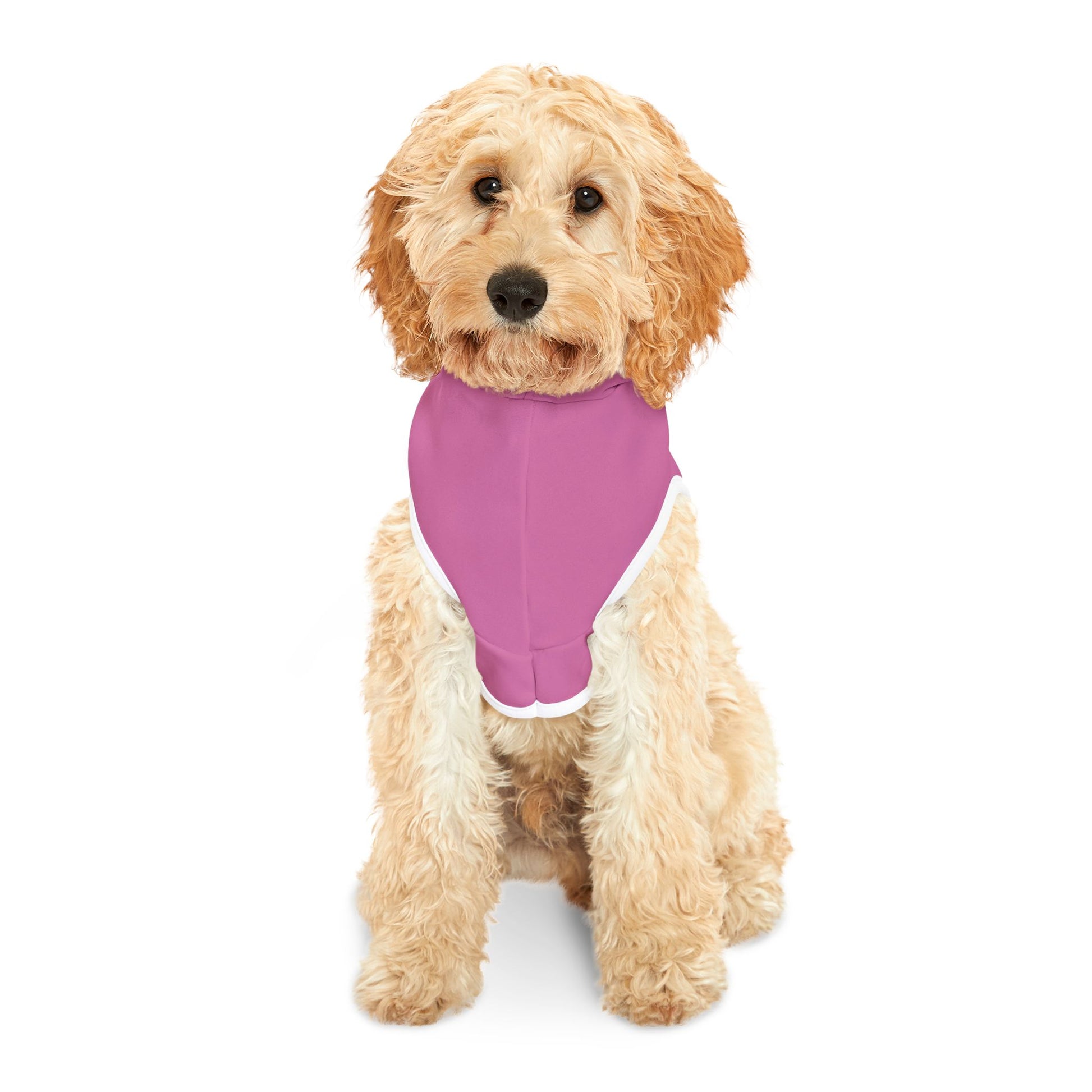 Stylish Pet Hoodie with Fun Design, Dog Outfit for Winter, Cute Pet Apparel, Holiday Gift for Pets, Funny Animal Hoodie